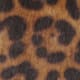 Leopard Haircalf